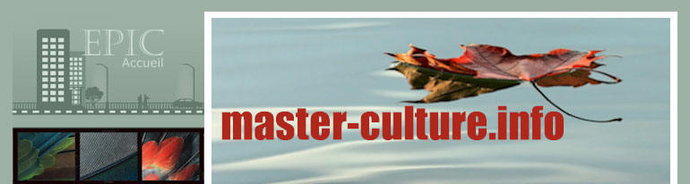 Universit� de Nantes UFR de sociologie Master EPIC 2004-2015 Expertises des Professions et Institutions de la Culture