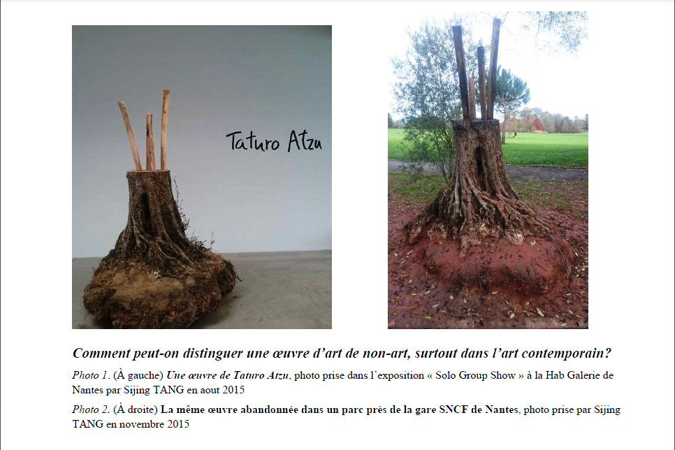 Sijing TANG Commentr peut-on distinguer une oeuvre d'art du non-art... Nantes 2016